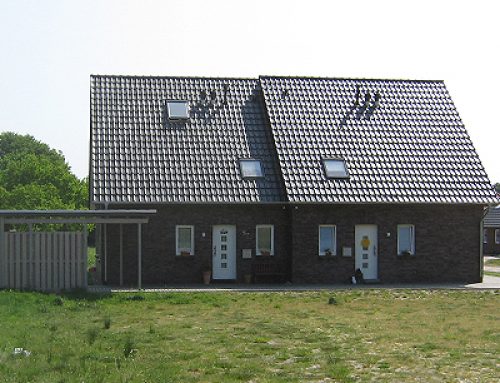 Neubau Doppelhaus
